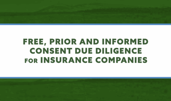 Tallgrass Institute report: Free, Prior and Informed Consent Due Diligence for Insurers